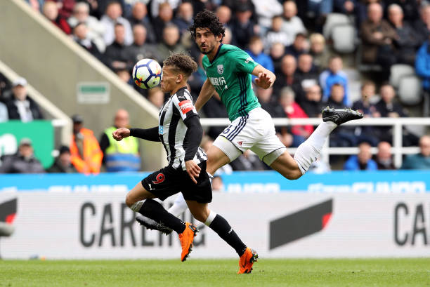 展注入了新 展注入了新